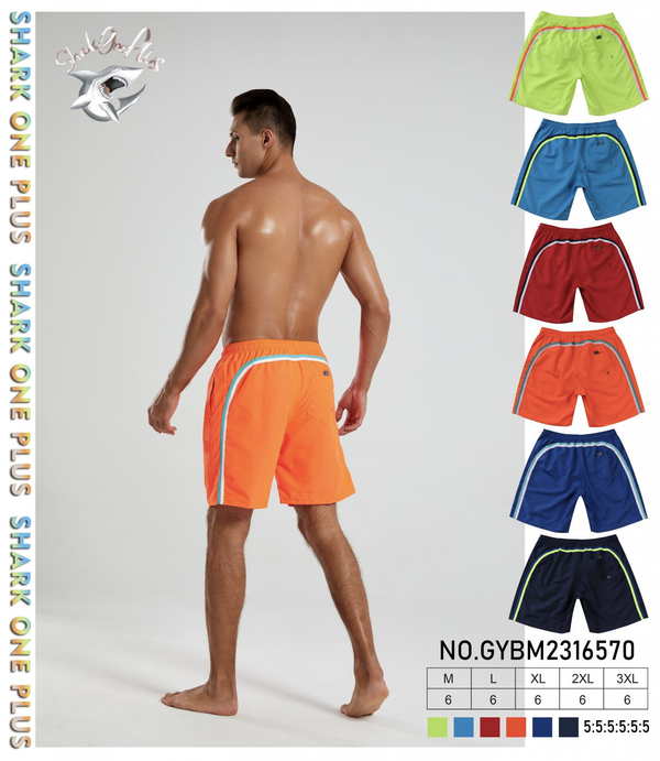 Beach Trunks - BACK RAINBOW