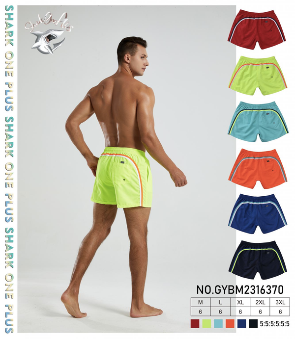 Beach Trunks - BACK RAINBOW (SHORTER SILHOUETTE)